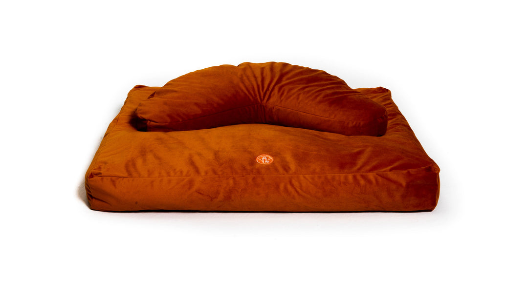 Awaken Crescent Velvet Cushion Set